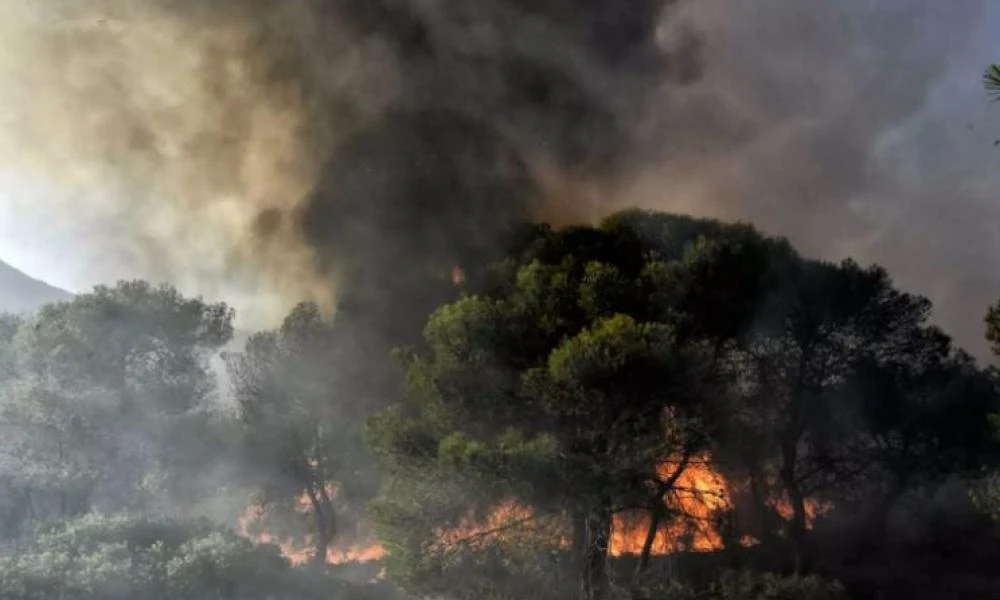 Ιωάννινα: Φωτιά σε δύσβατο σημείο της Σκλίβανης